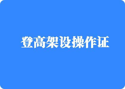 日韩大吉巴登高架设操作证